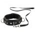 Bad Kitty - Spiked, Studded Collar with Leash (Black)