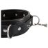 Bad Kitty - Spiked, Studded Collar with Leash (Black)